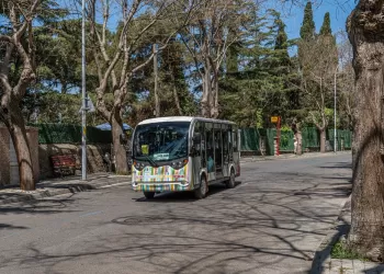 Büyükada Elektrikli Araç Fiyatları: Çevreci Bir Yöntem