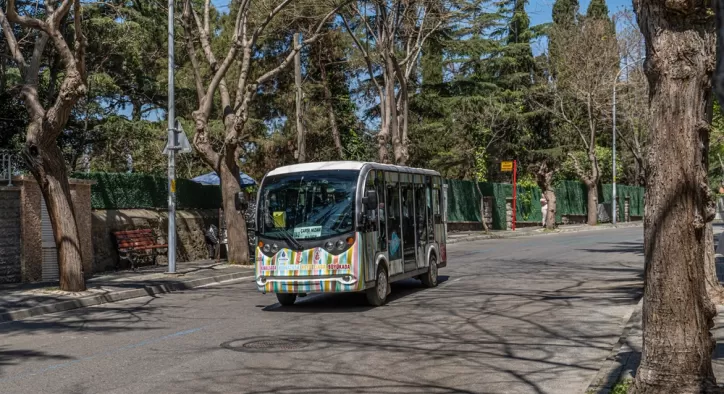 Büyükada Elektrikli Araç Fiyatları: Çevreci Bir Yöntem