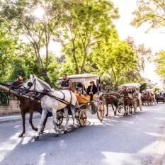 Büyükada Fayton Kalktı mı? Çevre Dostu Bir Adım