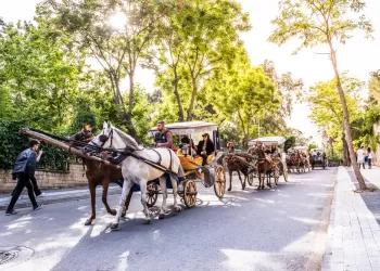 Büyükada Fayton Kalktı mı? Çevre Dostu Bir Adım